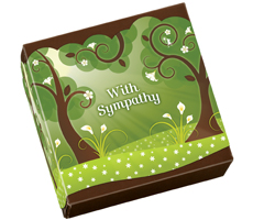 New With Sympathy Band