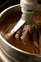 Brownie Beauty